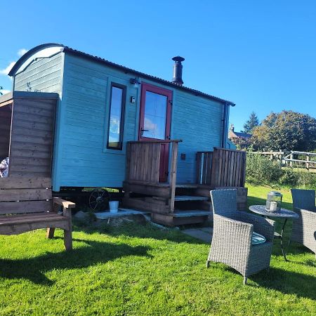 The Shepherds Hut At Forestview Farm Greenisland Esterno foto