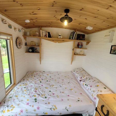The Shepherds Hut At Forestview Farm Greenisland Esterno foto