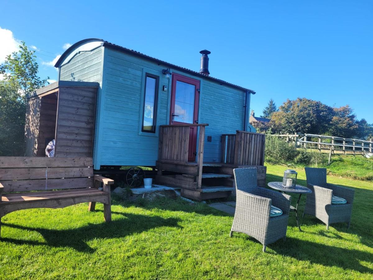 The Shepherds Hut At Forestview Farm Greenisland Esterno foto