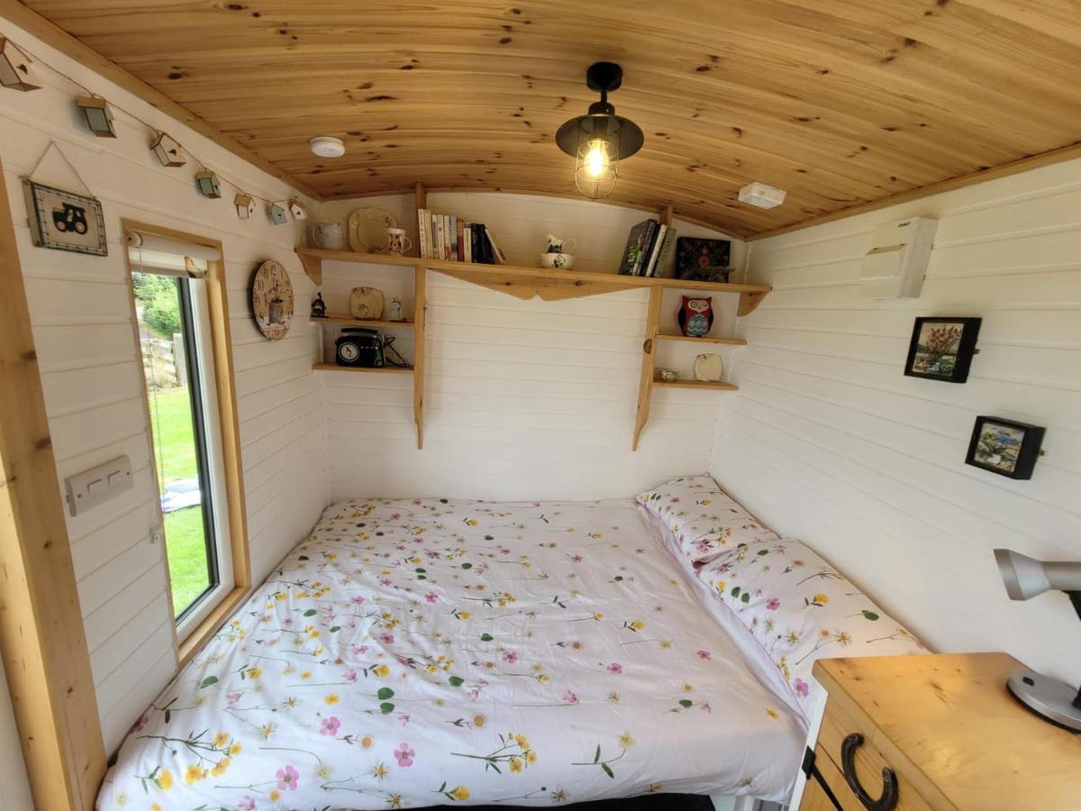 The Shepherds Hut At Forestview Farm Greenisland Esterno foto